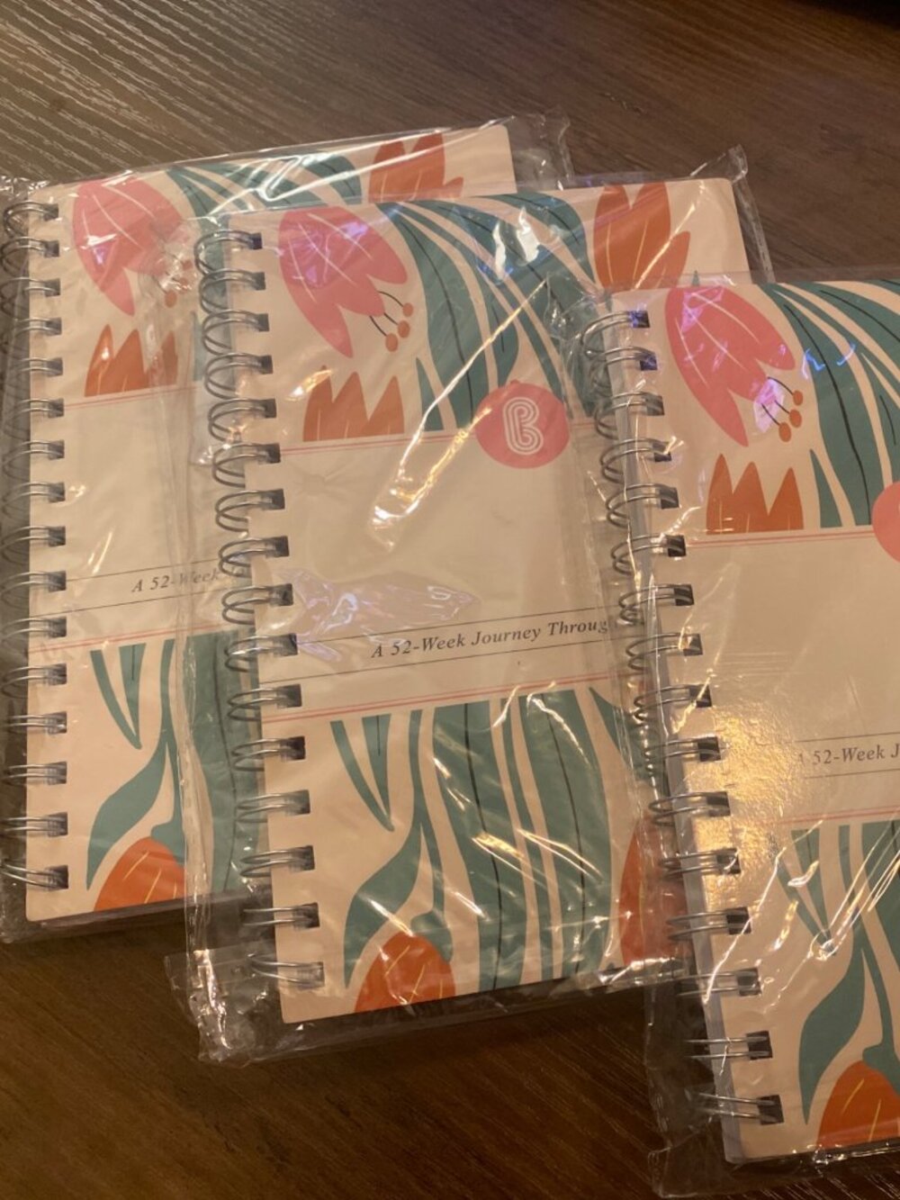 Set of 3 “The Bible in a Year” 52-Week Journey Through God’s Word Journals